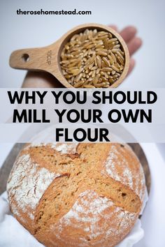 A few years ago, I read or watched a video about how store-bought flour loses the majority of it’s nutritional value before it reaches your hands. I learned that milling your own flour is the way to retain all of the nutrition. Click the link to find out why I think everyone should mill their own flour. Ancient Grains, Easy Bread Recipes, Delicious Bread