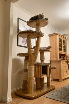 a cat sitting on top of a tree house in a living room next to a rug