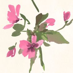 a painting of pink flowers on a white background