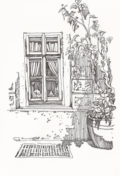 a black and white drawing of a potted plant next to a window with curtains