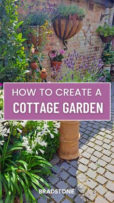 a garden with potted plants and flowers in the background text overlay reads how to create a cottage garden