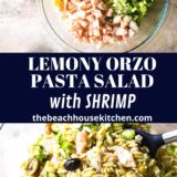 lemony orzo pasta with shrimp in a bowl