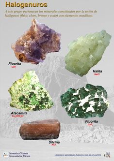 an image of some rocks with different colors and names on them, including the word halogen