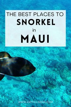 the best places to snorkel in mau