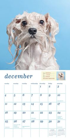 a calendar with a dog's face on it and the date for december in english