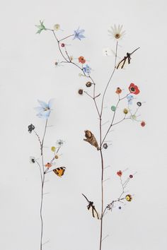 a branch with flowers and birds on it against a white background that looks like something out of space