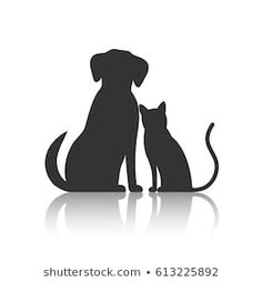 a dog and cat sitting next to each other on a white background with the reflection of them