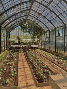 the inside of a greenhouse with many plants in it