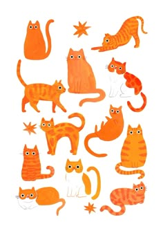 an image of many different cats on a white background with orange and red colors in the shape of stars