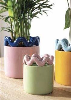 three ceramic pots with plants in them on a wooden table next to a potted plant