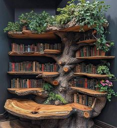 a tree stump with bookshelves and plants growing out of it in the corner