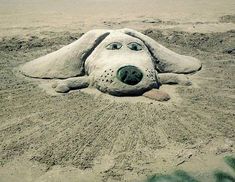 a sand sculpture of a dog's head on the beach