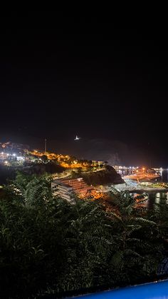 the city lights shine brightly in the dark night sky above trees and bushes, along with an outdoor swimming pool