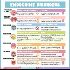 an info poster with the words endocine disorders