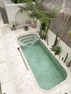 an outdoor swimming pool surrounded by greenery and palm trees in a tropical style home