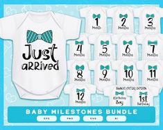 Onesie Designs SVG Funny Onesie Designs SVG Vinyl Baby Onesie Designs Bundle Witty Funny Onesies Designs for Baby - Etsy Family Shirt Design, Monthly Onesies, One Month Baby, Baby Monthly Milestones, Funny Onesies, Princess Kids, Baby Boy Onesies, Boy Onesie, Vinyl Shirts