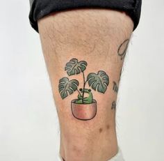 a small potted plant with green leaves on the side of a man's leg