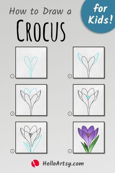 6 steps demonstrating how to draw a how to draw a crocus for kids. How To Draw A Crocus, Doodle Plants, Kids Math