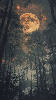 the full moon shines brightly through the trees