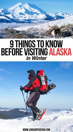 9 Things to Know Before Visiting Alaska in Winter Visiting Alaska