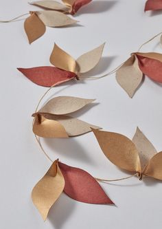 some gold and red leaves are on a white surface