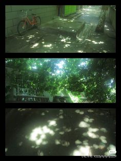 three different shots of the same bike parked in front of a building with sunlight coming through the trees