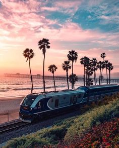 a train traveling down tracks next to the ocean with palm trees on both sides and a pier in the background