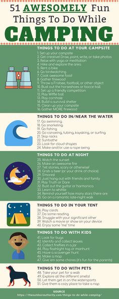 the ultimate guide to camping with your dog infographical poster for kids and adults