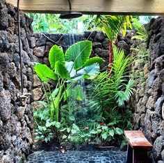 an outdoor shower is surrounded by plants and rocks, with a bench in the foreground