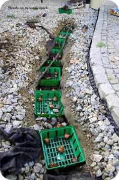 several plastic crates filled with fruit sitting on the side of a road next to rocks