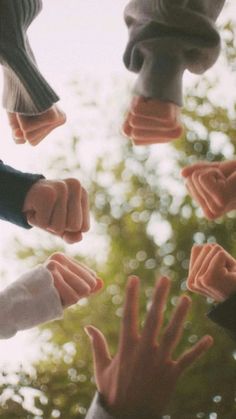 four hands reaching up towards each other with trees in the background