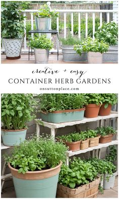 an outdoor herb garden with potted plants and herbs on the shelves in front of it