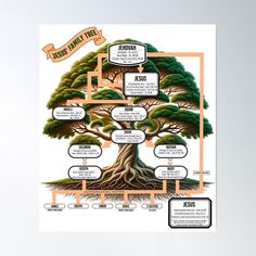 a family tree with names and pictures on the bottom, labeled as jesus's family tree poster