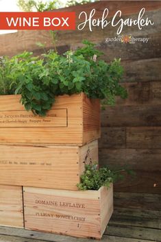 three wooden boxes with plants growing out of them