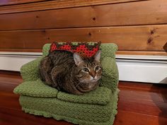 a cat laying on top of a green towel