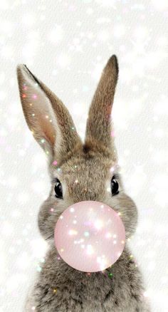 a rabbit with a bubble gum in its mouth and snowflakes on the background