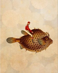 a man riding on the back of a fish