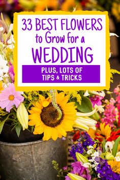 the best flowers to grow for a wedding plus lots of tips and tricks on how to use them