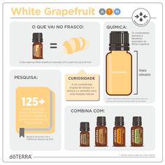 White Grapefruit, Doterra Oil, Essential Oil Companies, What Are Essential Oils, Salon Makeup, Grapefruit Oil, Painting Aesthetic, Grapefruit Essential Oil