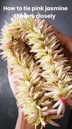 a person is holding some pink flowers in their hands with the words how to tie pink jasmine filbert closely