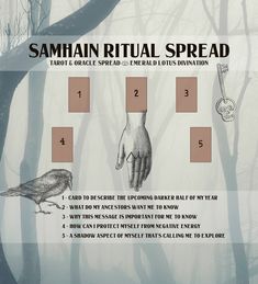 Shadow Healing, Samhain Tarot, Samhain Traditions, Samhain Ritual, Tarot Reading Spreads, Witch Spirituality