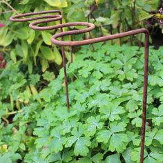 an old rusted metal plant stand in the middle of green plants