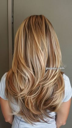 Blonde And Caramel Highlights, Blonde And Caramel, Highlight Styles, Caramel Highlight, Blonde Hair With Lowlights, Blonde Highlights On Dark Hair, Hair With Lowlights, Highlight Ideas, Hair Tricks