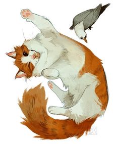 an orange and white cat sitting on top of a bird next to it's tail