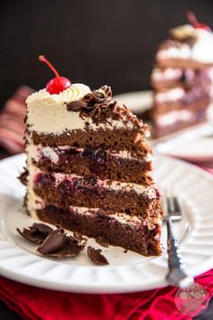 a slice of chocolate cake on a white plate