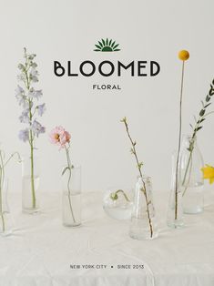 logo and tagline placed on a photo of individual flower stems in vases Flower Shop Branding Design, Floral Branding Design, Flower Branding Design, Floral Packaging Design, Floral Shop Ideas, Floral Shop Logo, Flower Packaging Design, Floral Poster Design