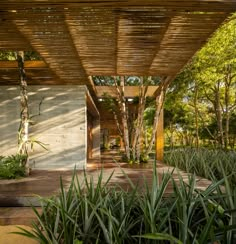 an outdoor covered area with plants and trees