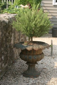 a potted plant sitting on top of a stone wall next to a gravel path