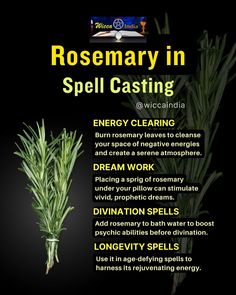 Uses Of Rosemary, Divination Spells, Magical Herbs Witchcraft, Wiccan Illustration, Cleanse Your Space, Candle Magic Spells, Hoodoo Spells, Money Spells That Work