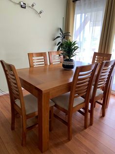 a dining room table with chairs and a potted plant on top of the table